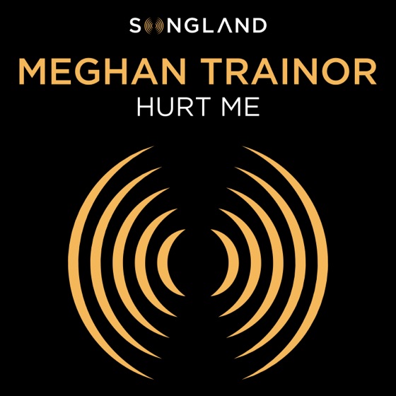 Cover artwork for Hurt Me
