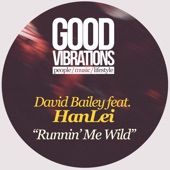 Runnin' Me Wild (feat. Hanlei) [Bailey's Wild Dubstrumental] artwork