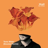 Tonic Water (Snocker Remix) artwork