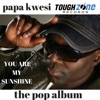 Papa Kwesi - You Are My Sunshine