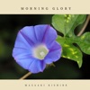 Morning Glory - Single
