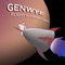 It's Over - GenWye lyrics