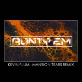 Mansion Tears (AUNTY EM Remix) artwork