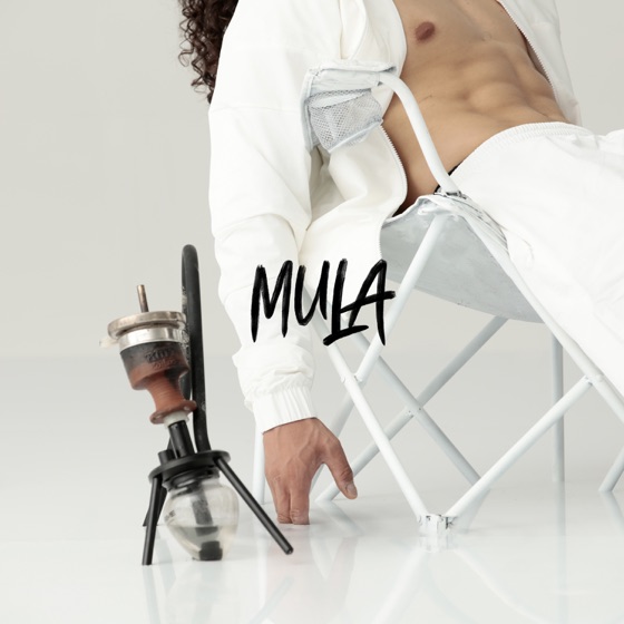 Cover artwork for Mula