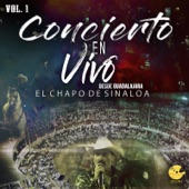 Concierto En Vivo Desde Guadalajara, Vol. 1 artwork