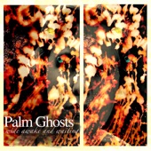 Palm Ghosts - Wide Awake and Waiting