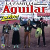 Por Mujeres Como Tú by Pepe Aguilar iTunes Track 7