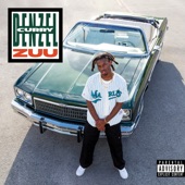 BIRDZ (feat. Rick Ross) by Denzel Curry