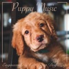 Puppy Music : Engineered to help your Dog Sleep