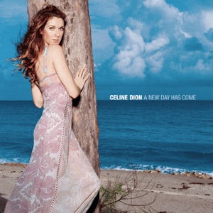 Céline Dion - A New Day Has Come - Line Dance Musique