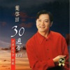 葉啟田 - 故鄉