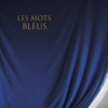 Les mots bleus by Johan Papaconstantino iTunes Track 1