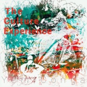 The Culture Experience artwork