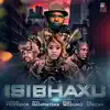 Isibhaxu (feat. Mampintsha, Babes Wodumo & Pex Africah) - Single album lyrics, reviews, download