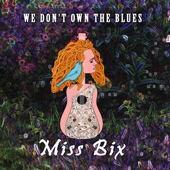 We Don't Own the Blues artwork