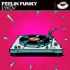 Stream & download Feelin Funky - Single