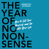 Meredith Atwood - The Year of No Nonsense artwork