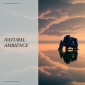 Nature Sounds - Natural Mediation