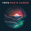 Mae'n Hawdd - Single