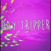 Day Tripper - Single album lyrics, reviews, download