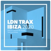 Ibiza 2020 Best Techno & House artwork