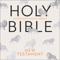 New Revised Standard Version - Holy Bible - The New Testament: New Revised Standard Version - Anglicized Edition (Unabridged) artwork