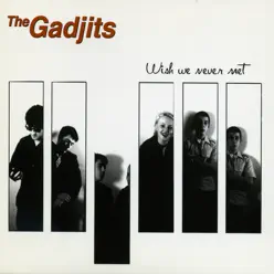 Wish We Never Met - The Gadjits