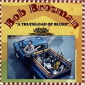 Bob Brozman - Never Hit The Same Place Twice