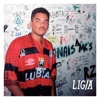 Licença pra Chegar - Single