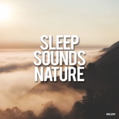 Sleep Sounds Nature artwork