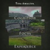 Cognition, Focus, Experience