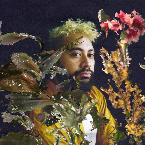 Cover artwork for Soulflower