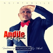 Ngimtholile (feat. Professor & DJ Nkoh) artwork
