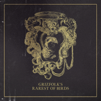 Grizfolk - Rarest of Birds artwork