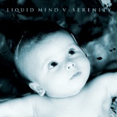 Liquid Mind - Awakening