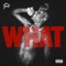 What! - GrownBoiTrap lyrics