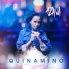 Quinamino - Single, 2019