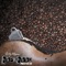 Espresso (feat. Dejavu 504) - Kitty Monroee lyrics
