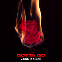 Zack Knight - Gotta Go artwork