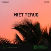 Niet Terug artwork