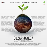 An Initiative by Indian Artists - Project Hope - Guzar Jayega - Single artwork