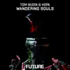 Wandering Souls - Single album lyrics, reviews, download