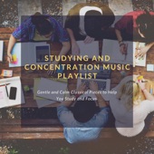 Studying and Concentration Music Playlist: Gentle and Calm Classical Pieces to Help You Study and Focus artwork