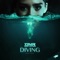Diving (Hardstyle Remix) artwork