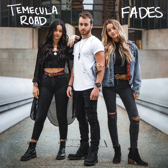 Cover artwork for Fades