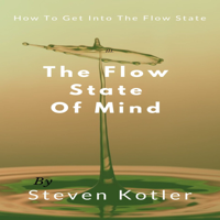 Steven Kotler - The Flow State Of Mind artwork