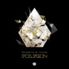 Animato - Polygon