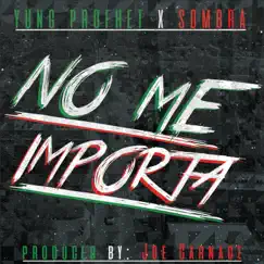 No Me Importa (feat. Sombra) Song Lyrics