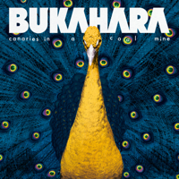 Bukahara - Canaries in a Coal Mine artwork