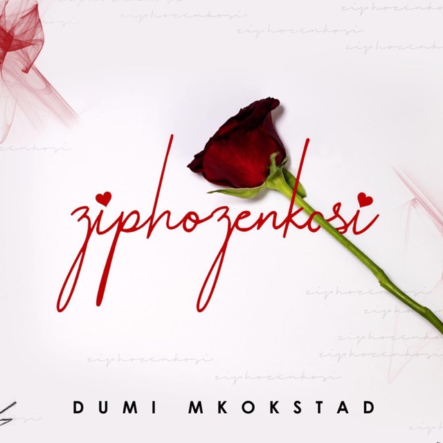 Dumi Mkokstad Ziphozenkosi - Single Album Cover